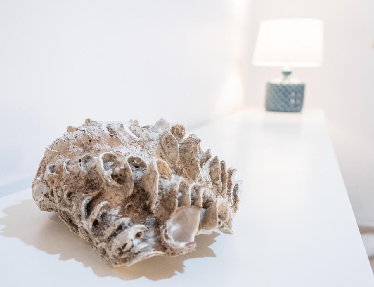 Apartamento Del Pescador De Cadiz Apartment Bagian luar foto